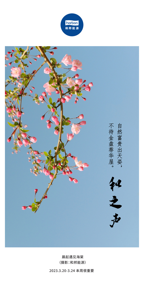 74-和之声（本周很主要）2022.3季度推送用.jpg