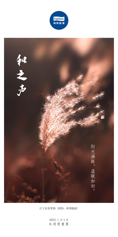 63-和之声（本周很主要）2022.1.2-1中文季度用.jpg