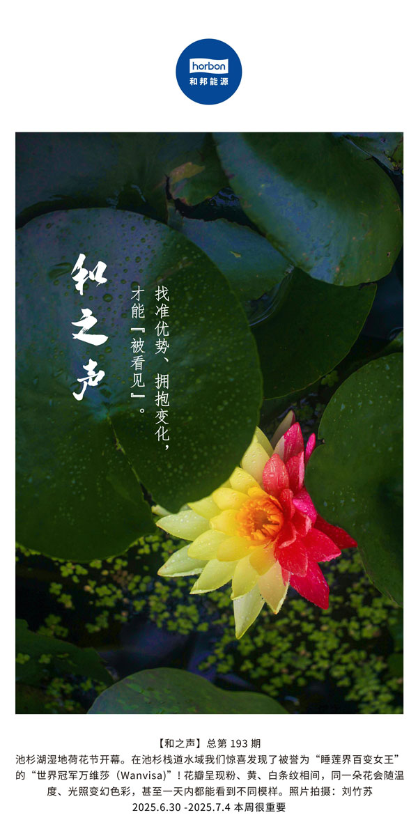 【和之声】找准优势、、拥抱转变，，，才华“被望见”！！！(总第193期）--2025.6中文导出季度推送用.jpg