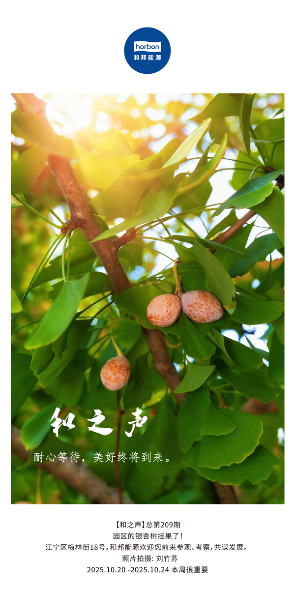 【和之声】耐心期待，，，优美终将到来。。-(总第209期）2025.10.20中文导出季度推送用.jpg